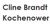 Cline Brandt Kochenower & Co