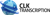 CLK Transcription, Inc.