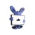 cloudex369 IT Solutions Private Limited