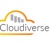 Cloudiverse CPAs Inc