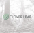Clover Leaf Solutions, LLC