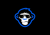 Code Chimps