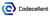Codecellent - IT Consulting and Services