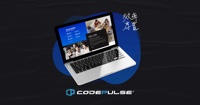 可思科技股份有限公司CodePulse