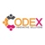 Codex Innovative Solutions