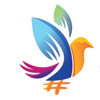 Coding Hashtag
