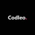 Codleo Consulting - Salesforce Summit Partner