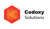 Codoxy Solutions