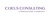 Coeus Consulting