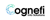 Cognefi Info Solutions Pvt Ltd .