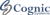 Cognic Systems