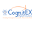 COGNITEX DIGITAL SOLUTIONS