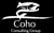Coho Consulting Group, LLC