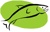 Coho Real Estate Group, LLC