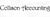 Collison Accounting