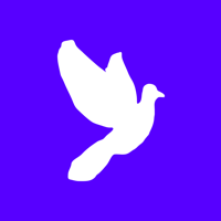 colomo.agency