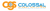 Colossal Global Solutions