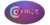 Combiz services pvt ltd