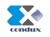 Condux Consultoria