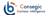 Consegic Business Intelligence Pvt Ltd