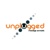 Consorcio Unplugged C.A.