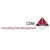 Consulting Data Management