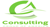 Consulting Group of America, LLC