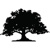 Copper Shade Strategy, LLC