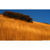 Copperfield Consulting