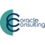 Coracle Consulting