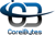 CoreiBytes Codetech, Inc.
