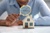 Corpa Property Inspection