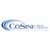 CoSine Real Estate
