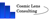 Cosmic Lens Consulting