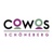 CoWoS CoWorking
