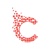 Crest Coder Private Limited