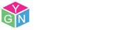 Criação de Sites GYN