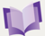Critique Accounting & Bookkeeping