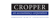 Cropper Accountancy Corporation