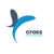 Cross Accounting Service