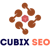 Cubix SEO