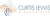 CURTIS J LEWIS & ASSOCIATES PC