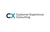 Customer Experience Consulting