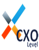 CXO Level
