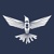 Cyber Guardian Consulting Group