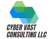 Cyber Vast Consulting, LLC.