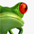 Cyberfrog Design Ltd