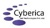 Cyberica Net Technology