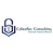 Cybersec Consulting