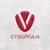 CyberVuln